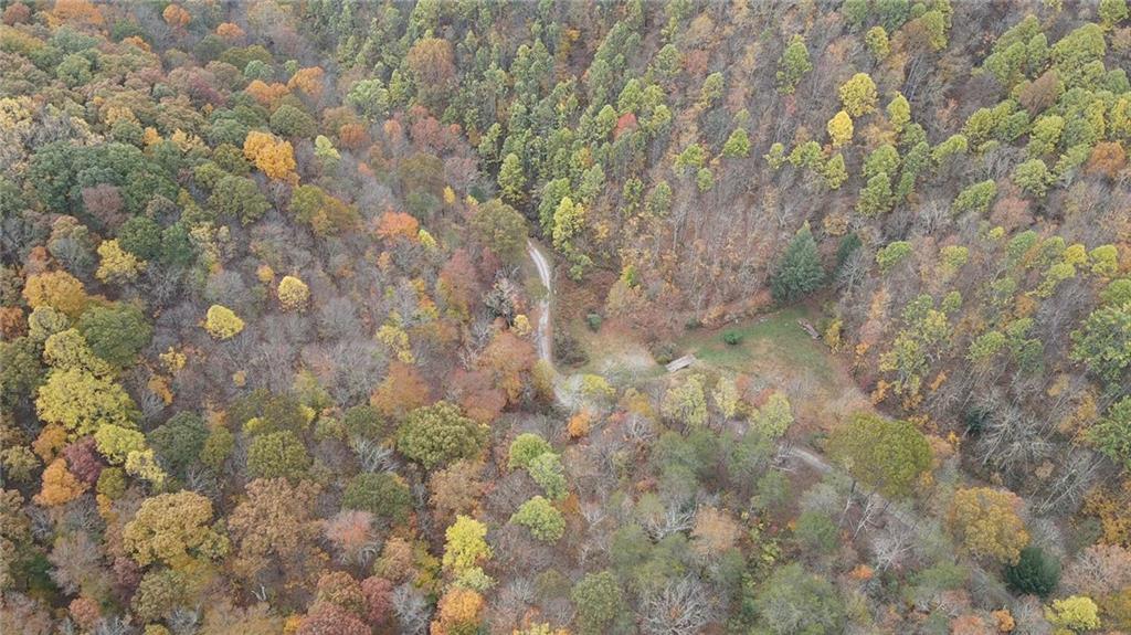 0 Fall Run Road Aleppo, PA 15310 - Photo 13 of 13 a close up of a plant