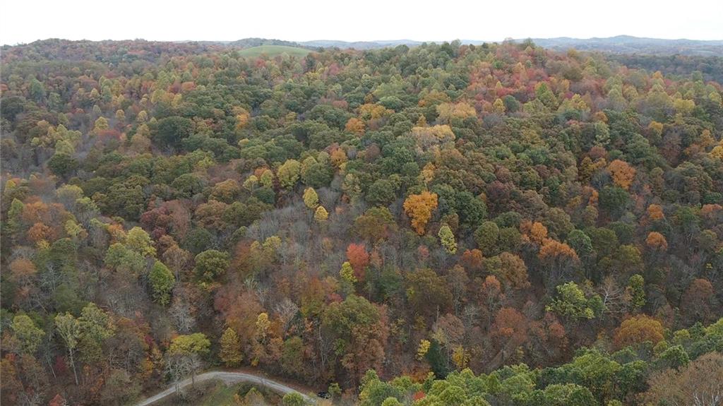 0 Fall Run Road Aleppo, PA 15310 - Photo 2 of 13 a view of a forest with a street