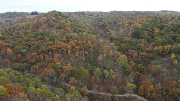a view of a forest with mountains in the background