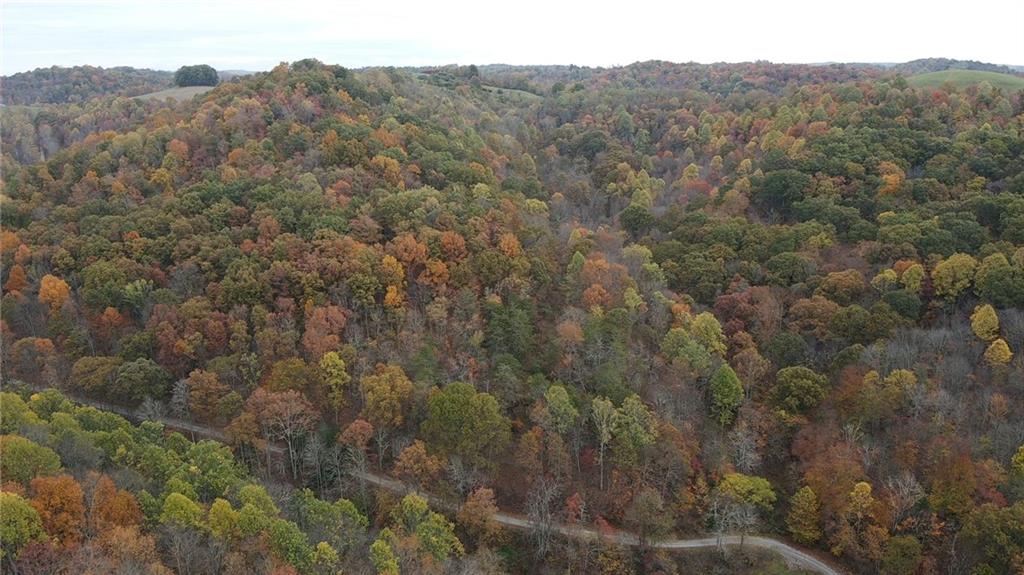 0 Fall Run Road Aleppo, PA 15310 - Photo 3 of 13 a view of a forest with mountains in the background