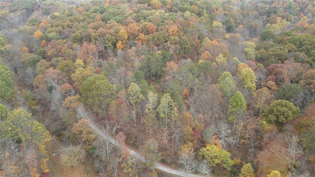 0 Fall Run Road Aleppo, PA 15310 - Photo 4 of 13 a close up of a plant with a yard