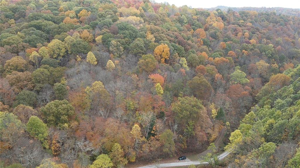 0 Fall Run Road Aleppo, PA 15310 - Photo 5 of 13 a view of a yard