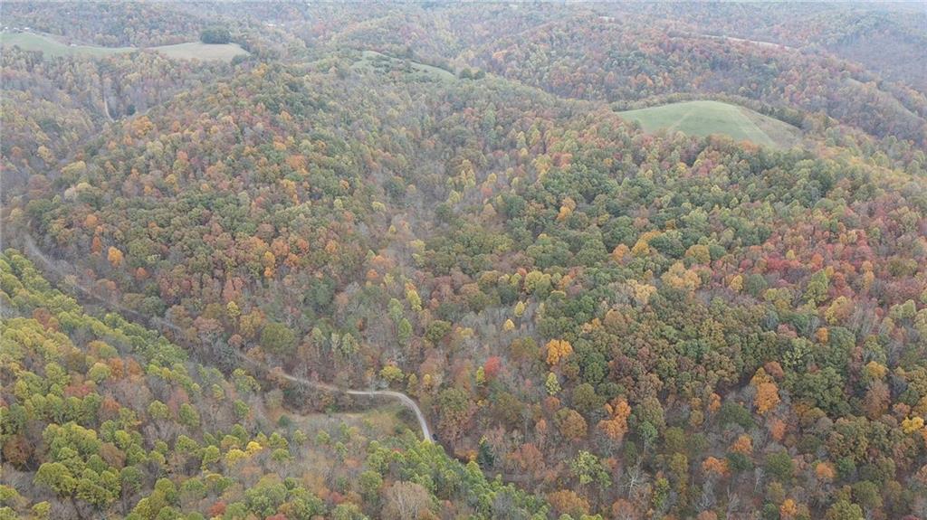 0 Fall Run Road Aleppo, PA 15310 - Photo 6 of 13 a view of a dry yard