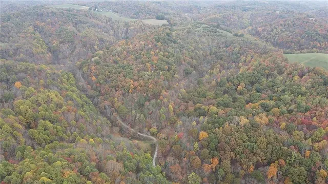 a close up of a field