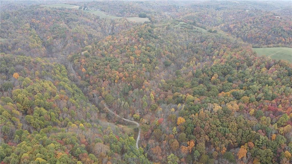 0 Fall Run Road Aleppo, PA 15310 - Photo 7 of 13 a close up of a field