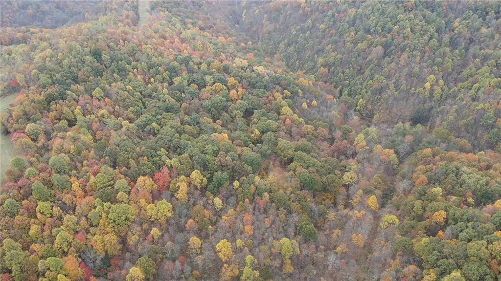 0 Fall Run Road Aleppo, PA 15310 - Photo 9 of 13 a close up of a field