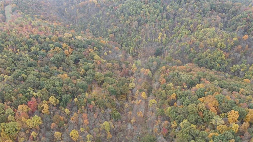 0 Fall Run Road Aleppo, PA 15310 - Photo 10 of 13 a view of a yard
