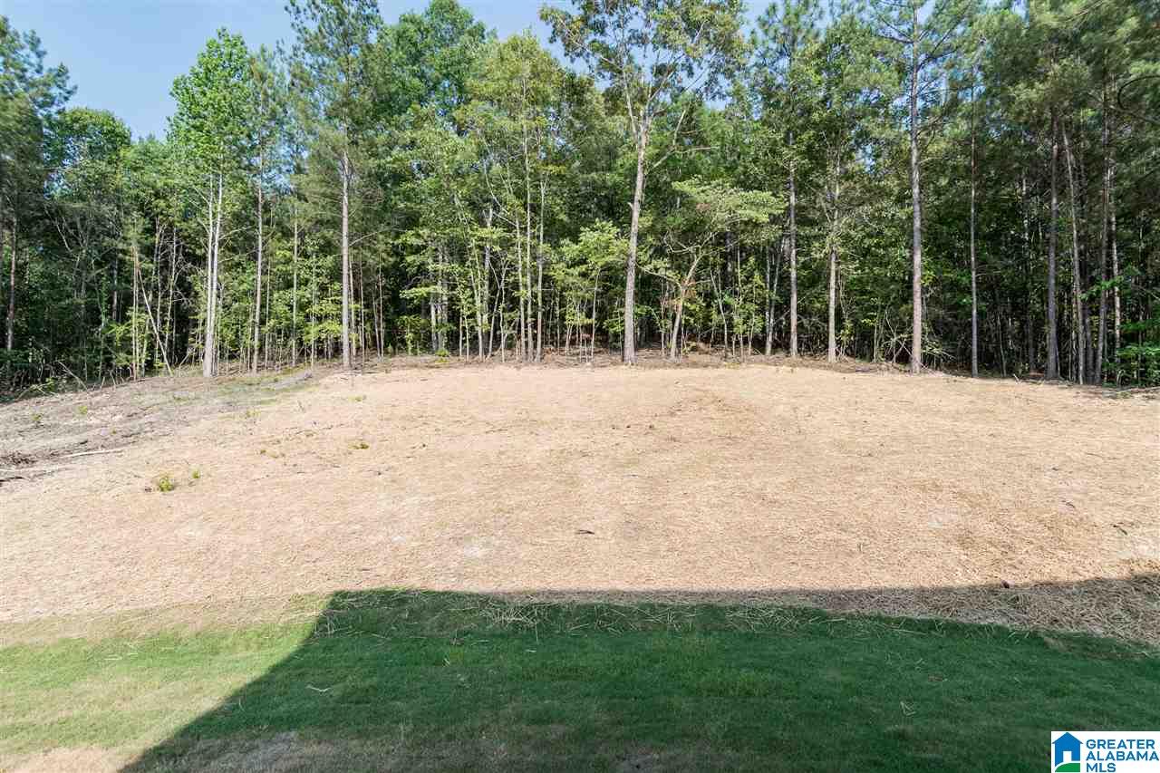 613 Whitetail Run Chelsea, AL 35043 - Photo 49 of 50
