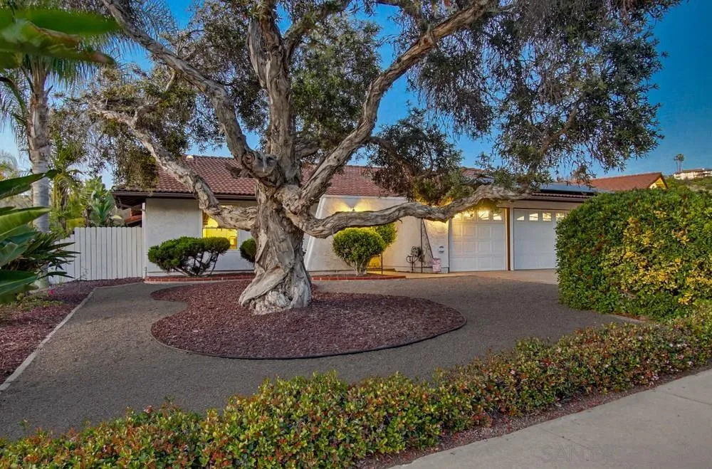 2164 Valley Mill Road El Cajon, CA 92020 - Photo 9 of 34 Lush beautiful yet low landscaping costs!