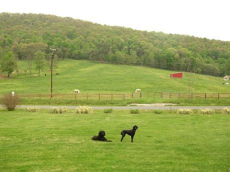 2042 Pico Road Buchanan, VA 24066 - Photo 6 of 9 Views