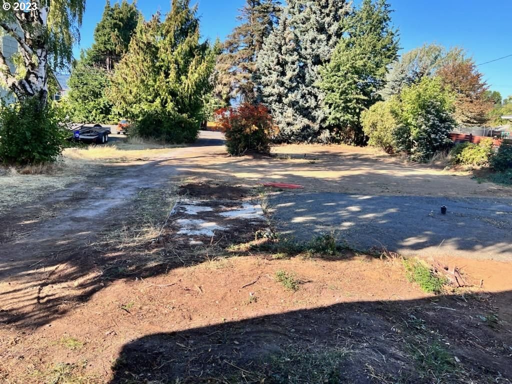 a view of dirt yard with a tree