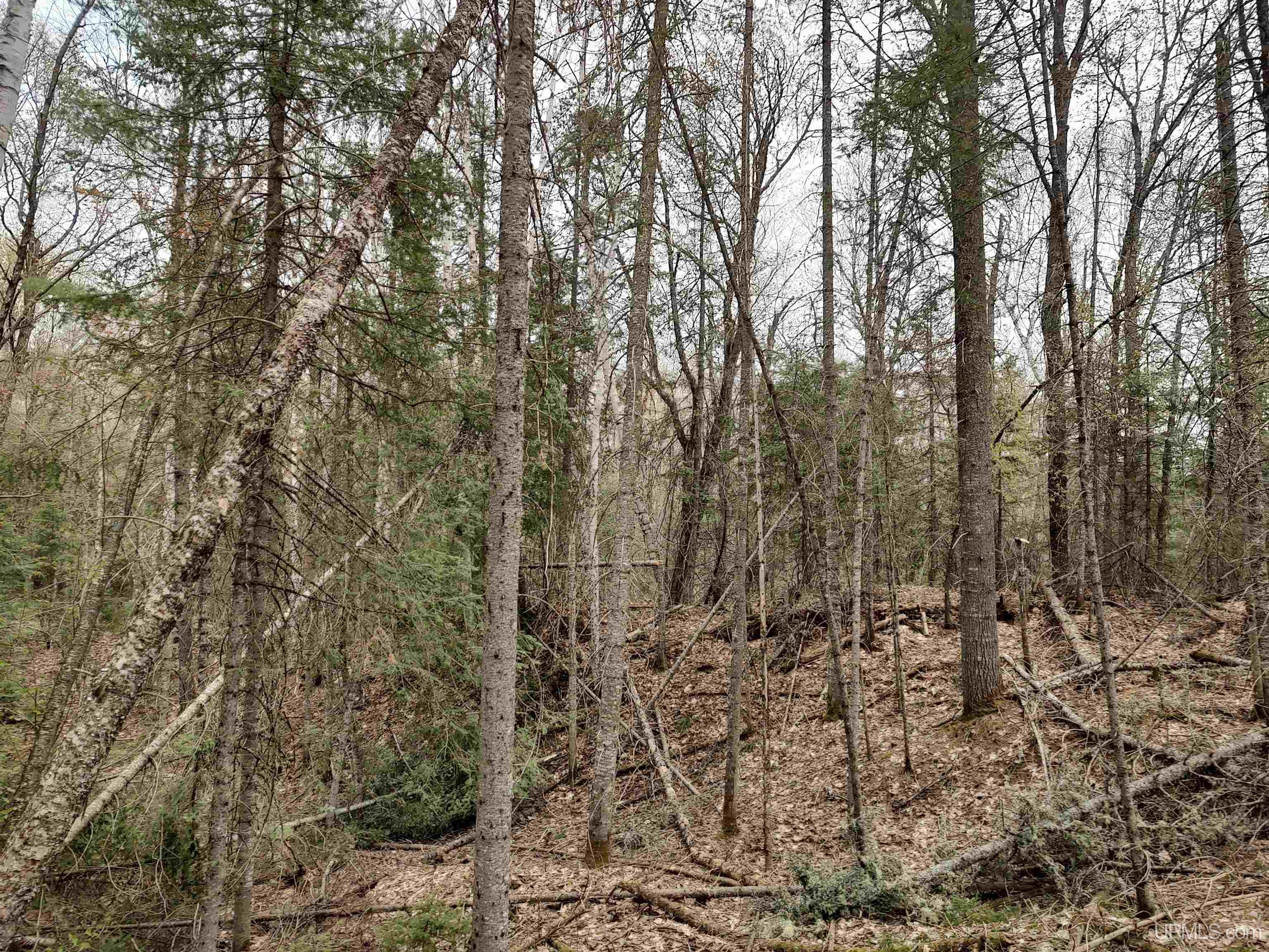 10 Fence Lake Road Michigamme, MI 49861 - Photo 13 of 42