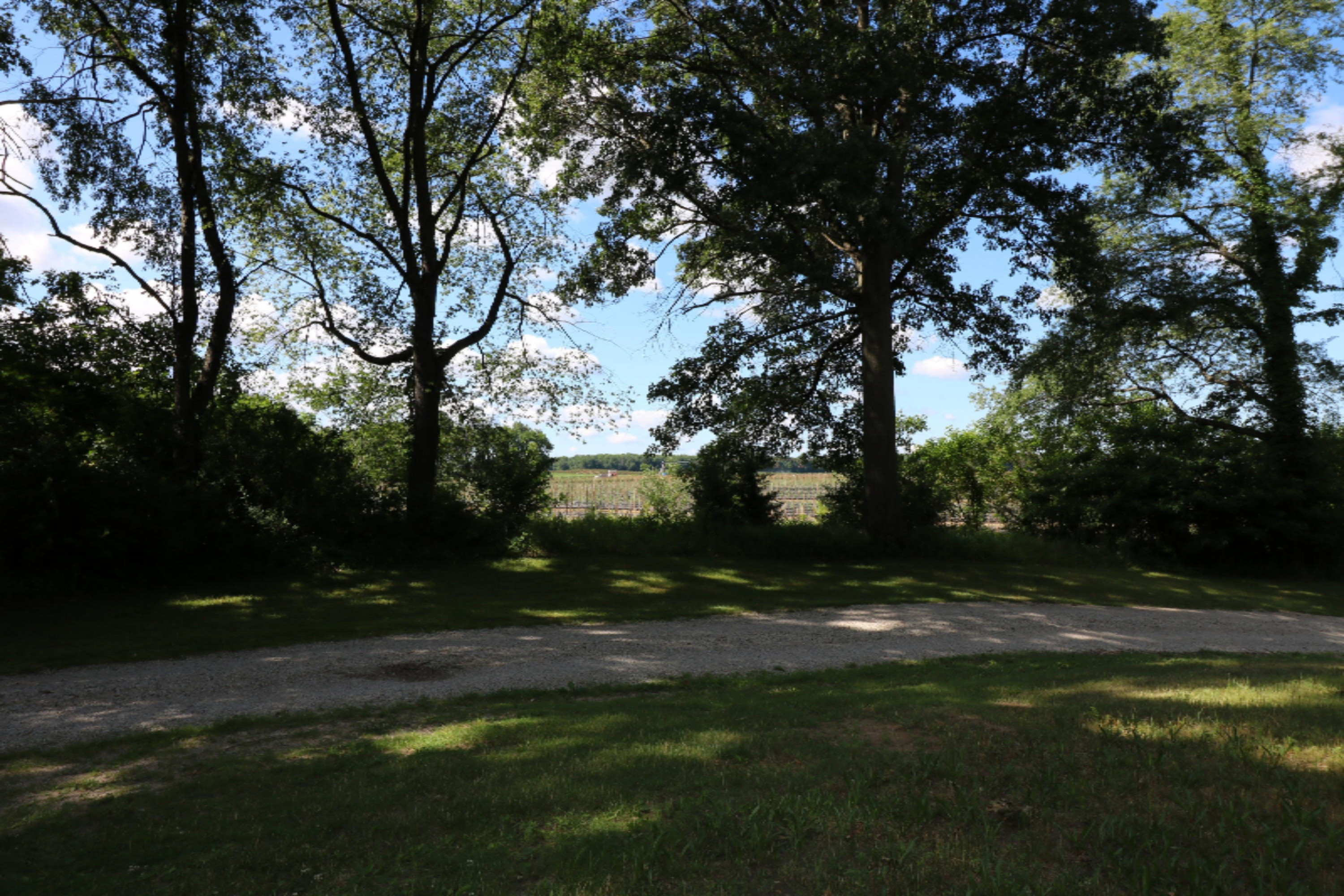 52122 Garrett Road Dowagiac, MI 49047 - Photo 4 of 4 Orchards across the street
