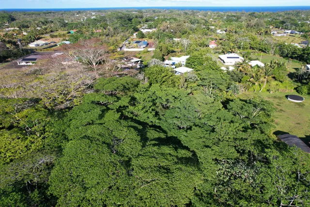 an aerial view of residential house with outdoor space and trees all around