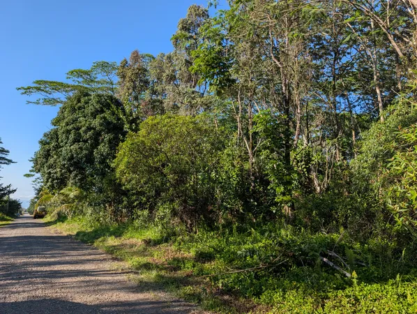 a view of a garden