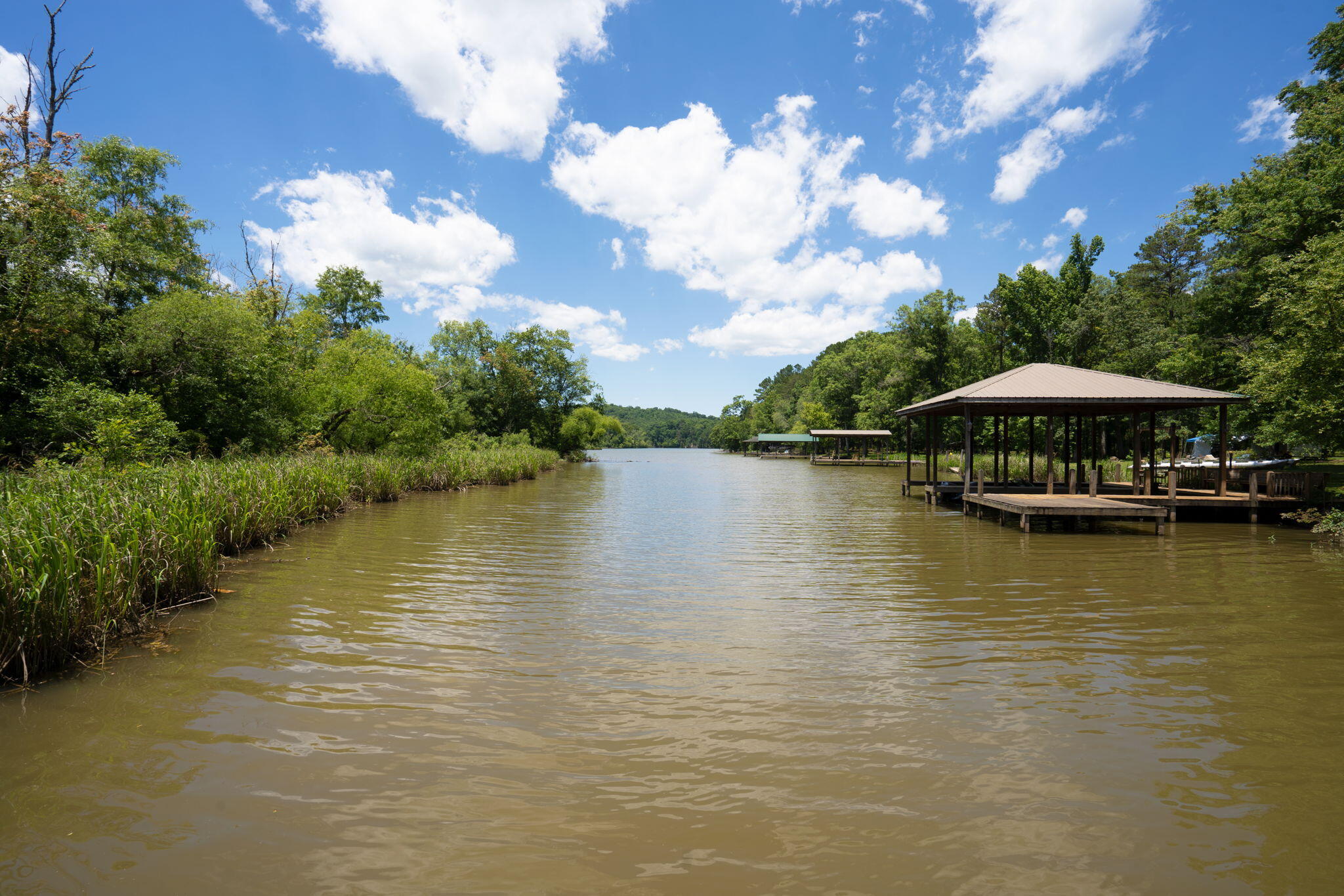 6134 Lamontville Road Decatur, TN 37322 - Photo 5 of 22 25-web-or-mls-DSC04896