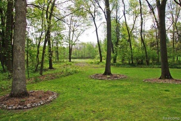 6316 Scully Road Dexter, MI 48130 - Photo 21 of 24 Wooded paradise!