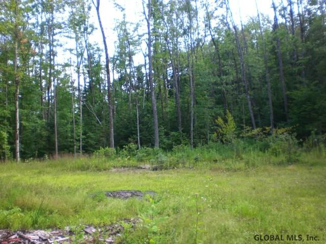 217 Gray Road Mayfield, NY 12117 - Photo 25 of 25 Photo 25