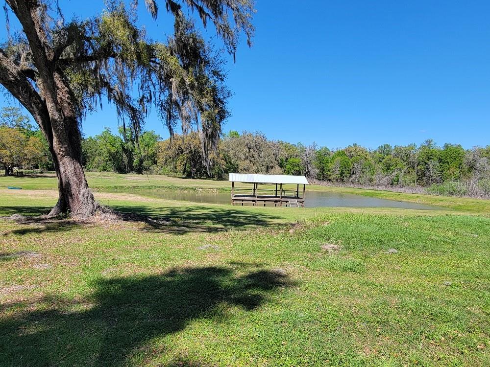 22397 Mondon Hill Road Brooksville, FL 34601 - Photo 41 of 53