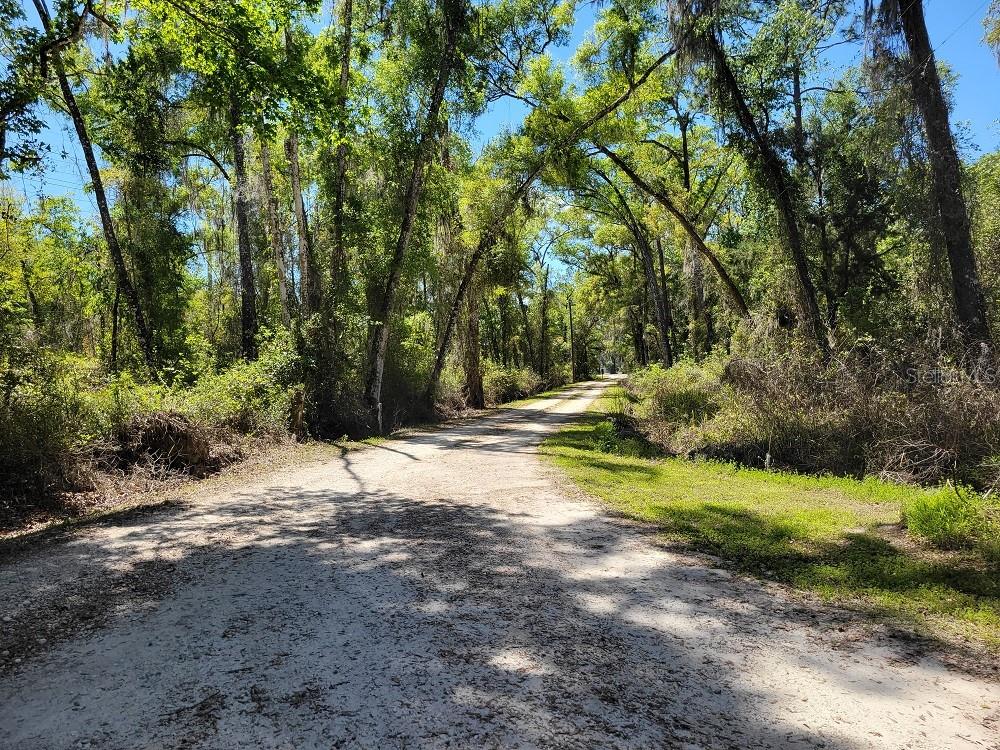 22397 Mondon Hill Road Brooksville, FL 34601 - Photo 45 of 53