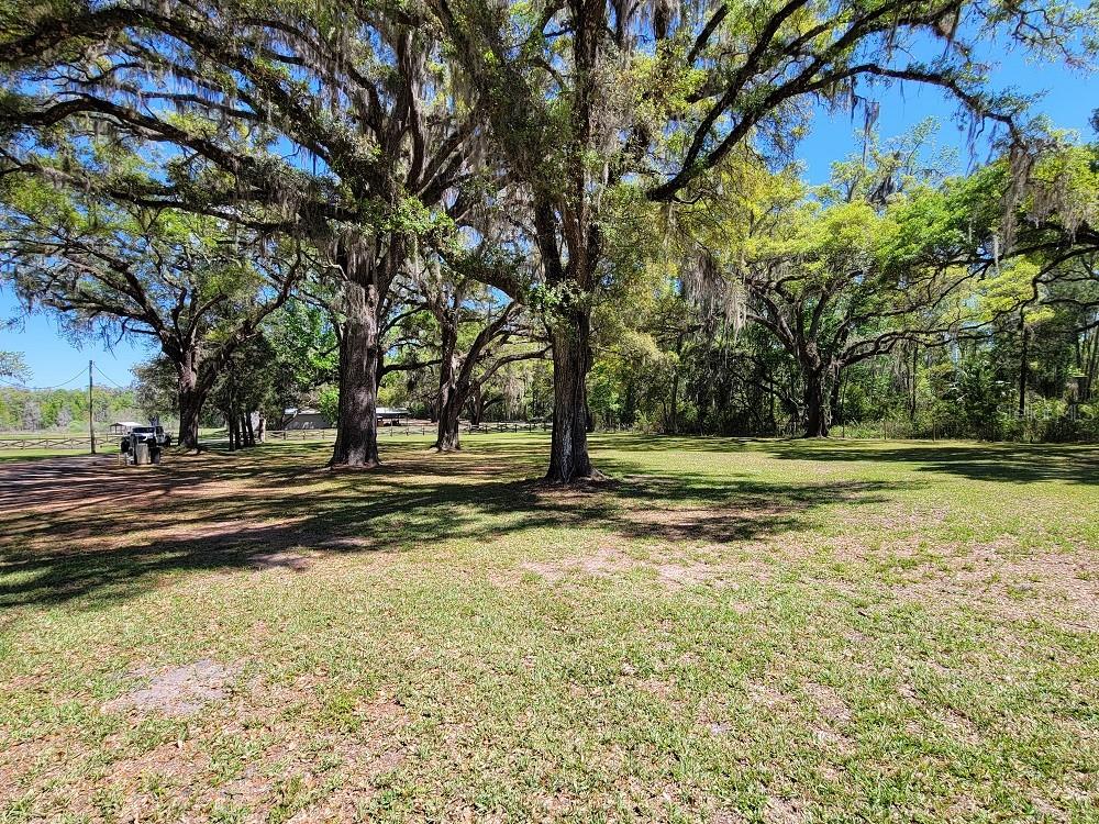 22397 Mondon Hill Road Brooksville, FL 34601 - Photo 46 of 53