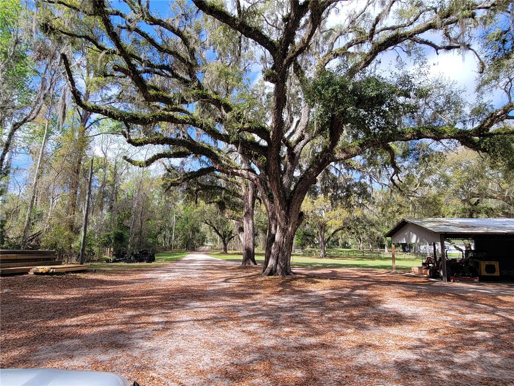 22397 Mondon Hill Road Brooksville, FL 34601 - Photo 5 of 53