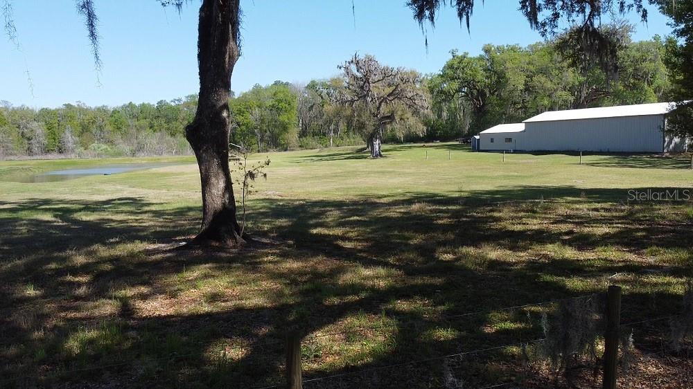 22397 Mondon Hill Road Brooksville, FL 34601 - Photo 51 of 53