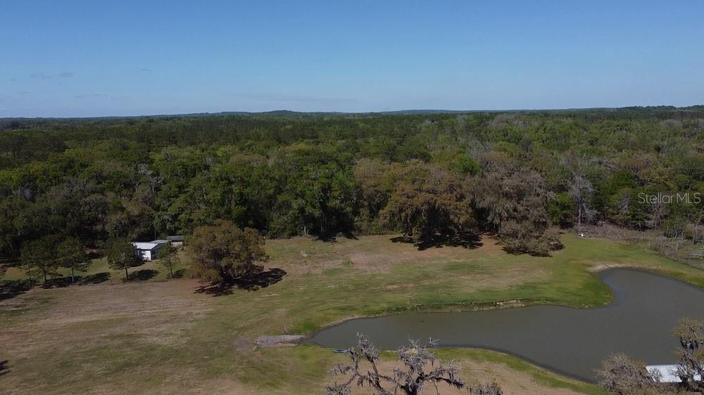 22397 Mondon Hill Road Brooksville, FL 34601 - Photo 53 of 53