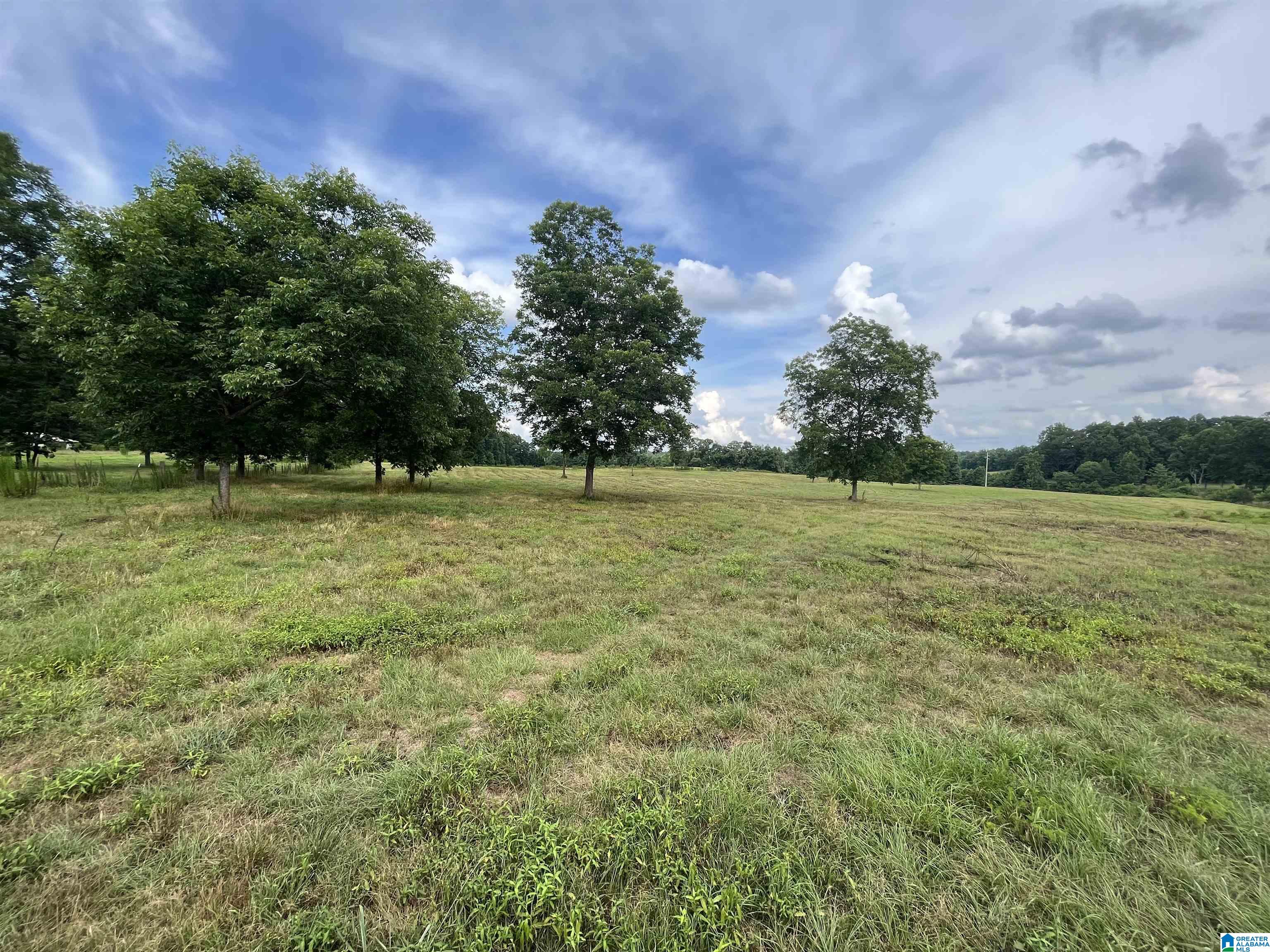 2917 Doublehead Road, Unit 170 ACRES Roanoke, AL 36274 - Photo 3 of 18