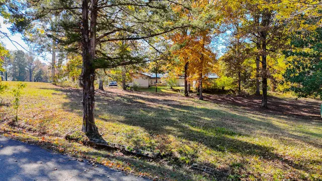 a view of a yard with trees