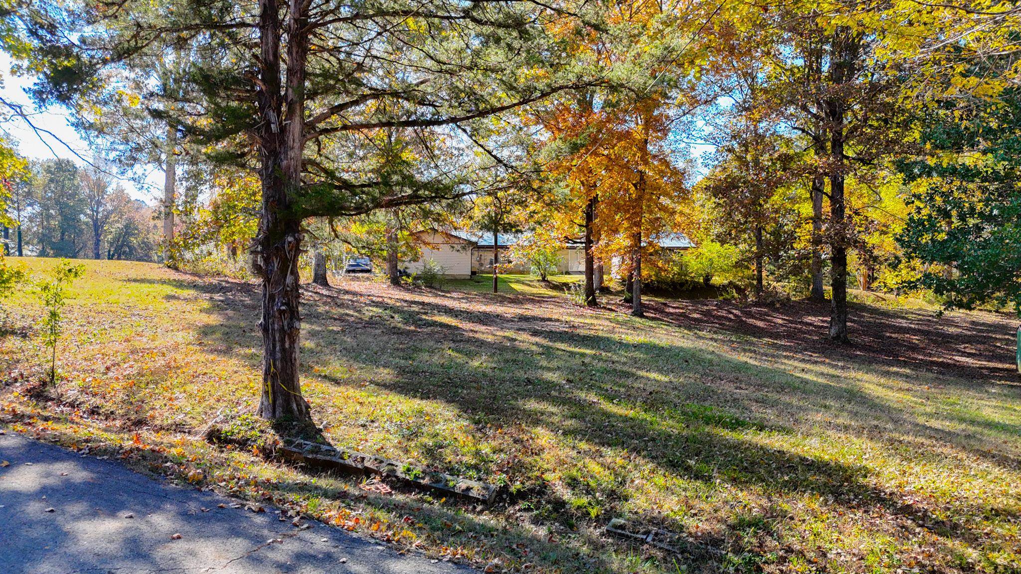0 Cr 171 Road Iuka, MS 38852 - Photo 3 of 4 a view of a yard with trees