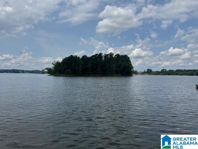 1442 Shannon Way Talladega, AL 35160 - Photo 64 of 73