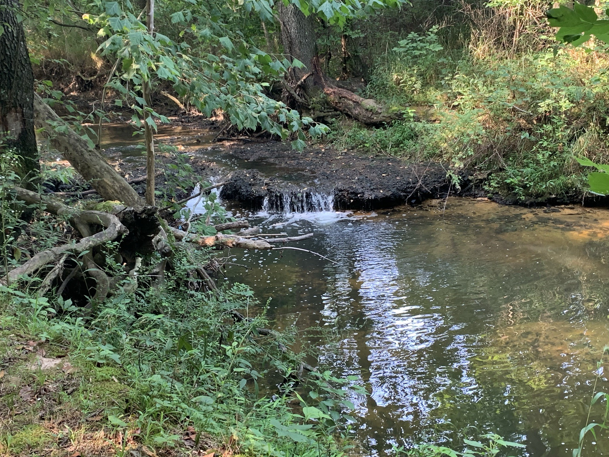 174 T T G T Road Portland, TN 37148 - Photo 11 of 17 a view of water with a large tree