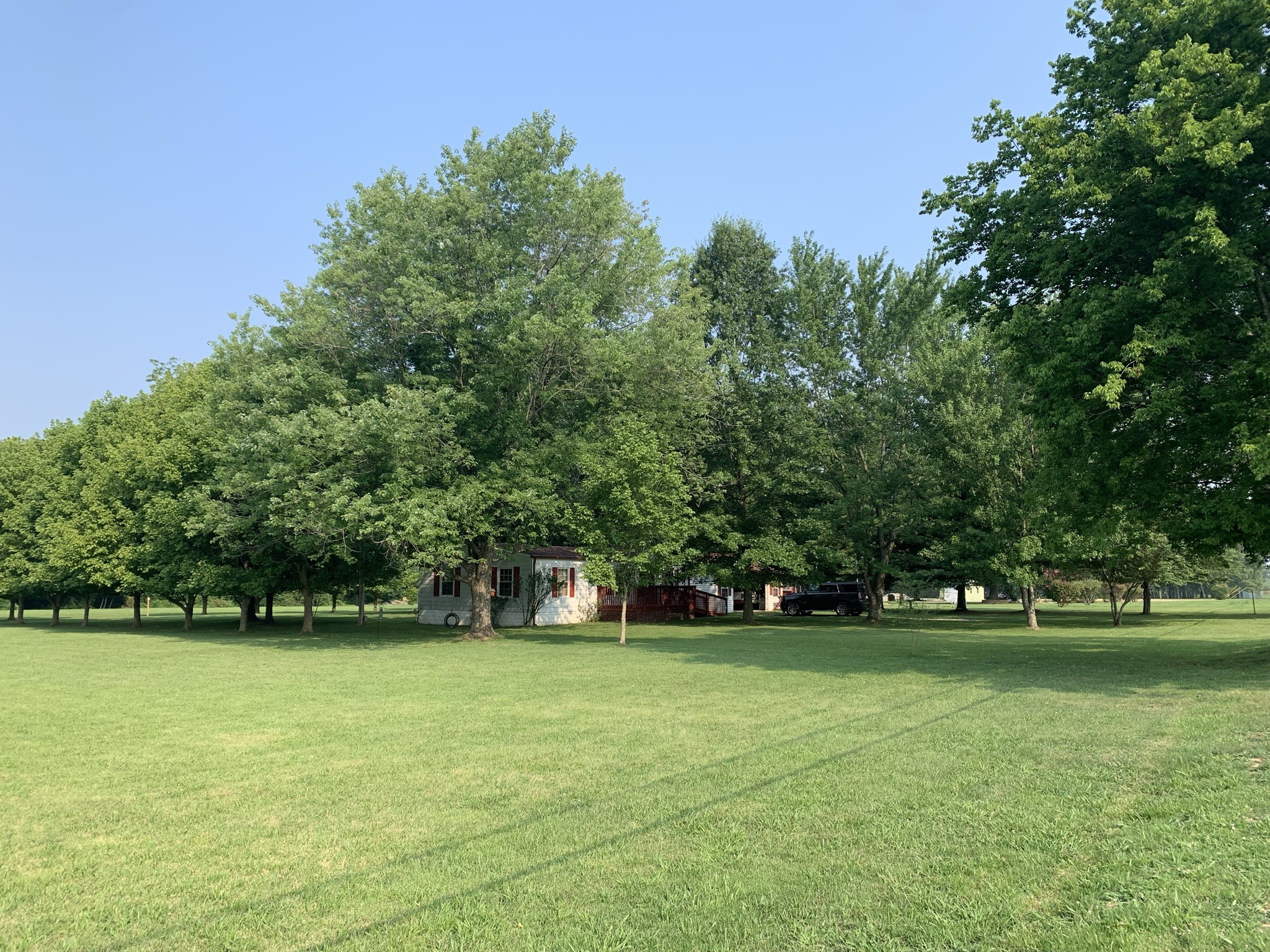 174 T T G T Road Portland, TN 37148 - Photo 14 of 17 a view of pool with green space