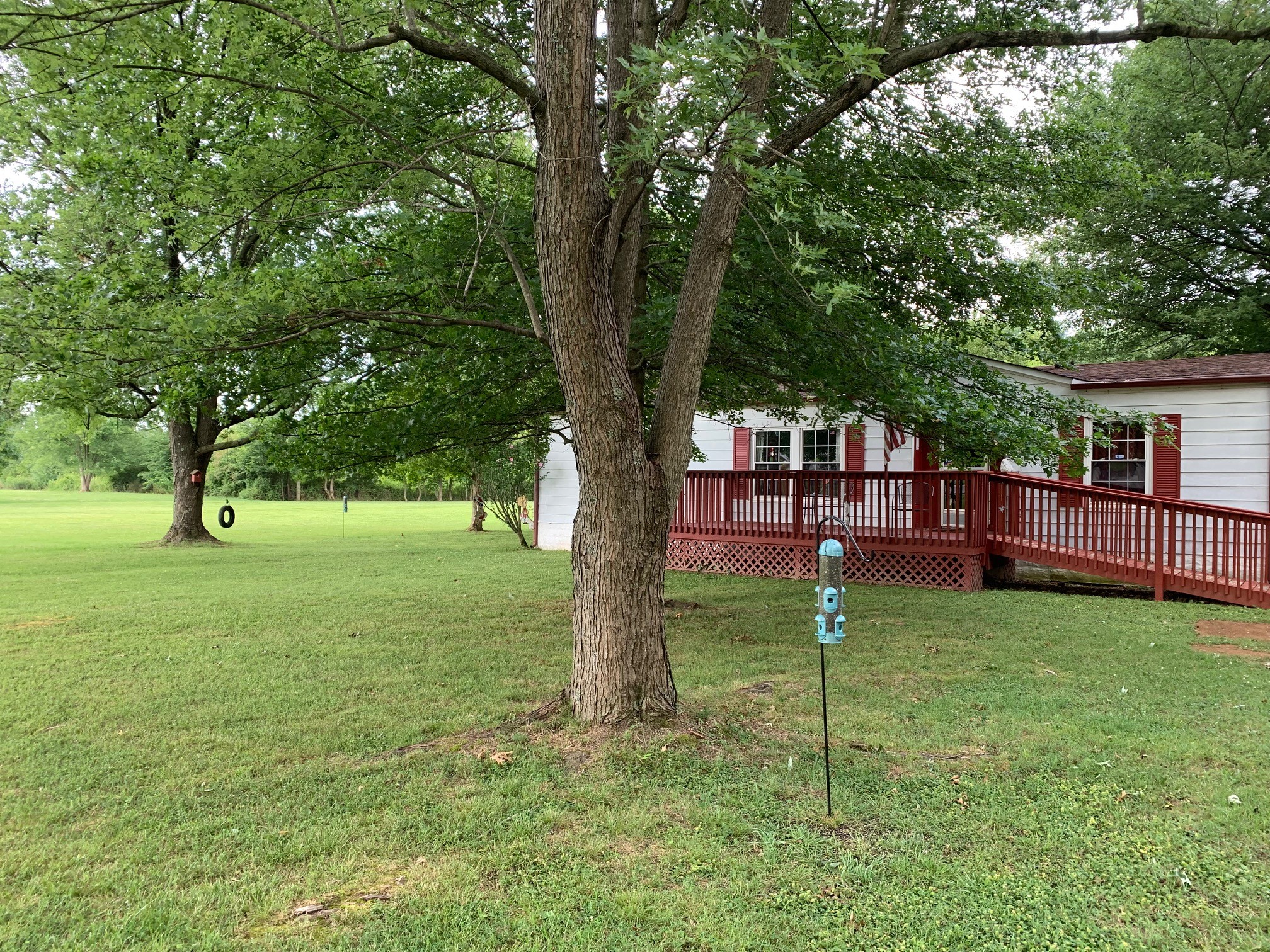174 T T G T Road Portland, TN 37148 - Photo 3 of 17 a view of a house with backyard