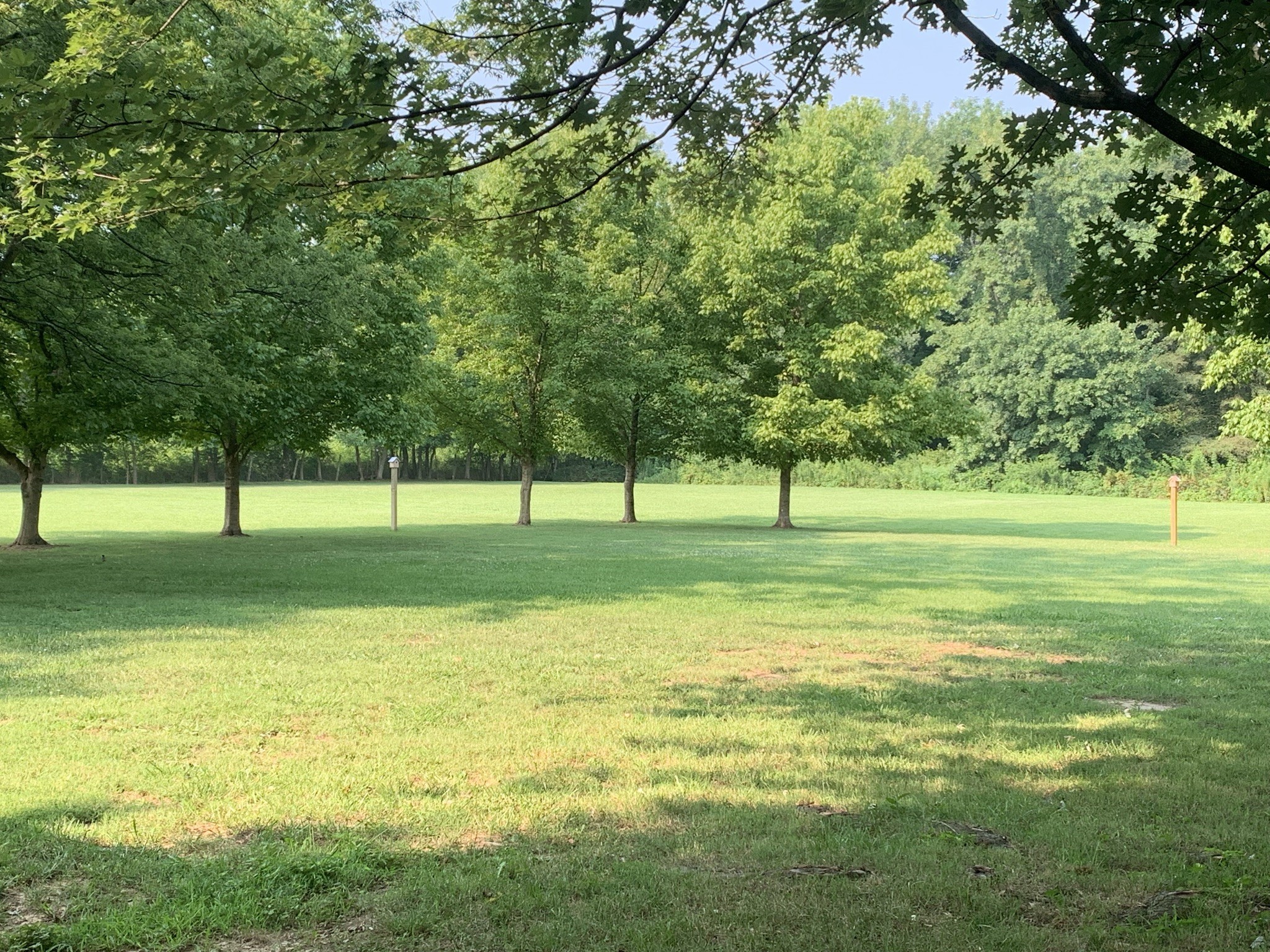 174 T T G T Road Portland, TN 37148 - Photo 4 of 17 a view of a park with lots of trees