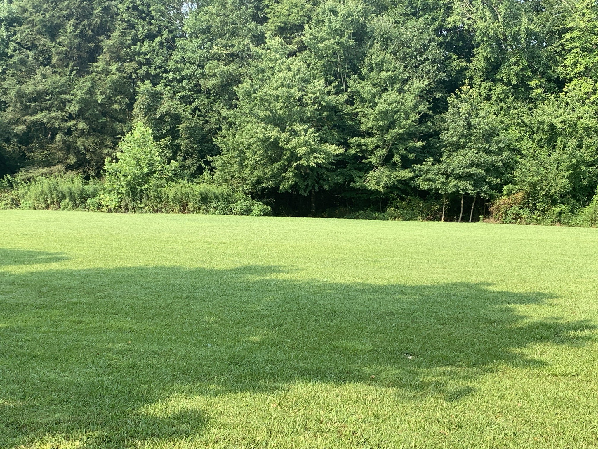 174 T T G T Road Portland, TN 37148 - Photo 5 of 17 a view of field with trees in the background