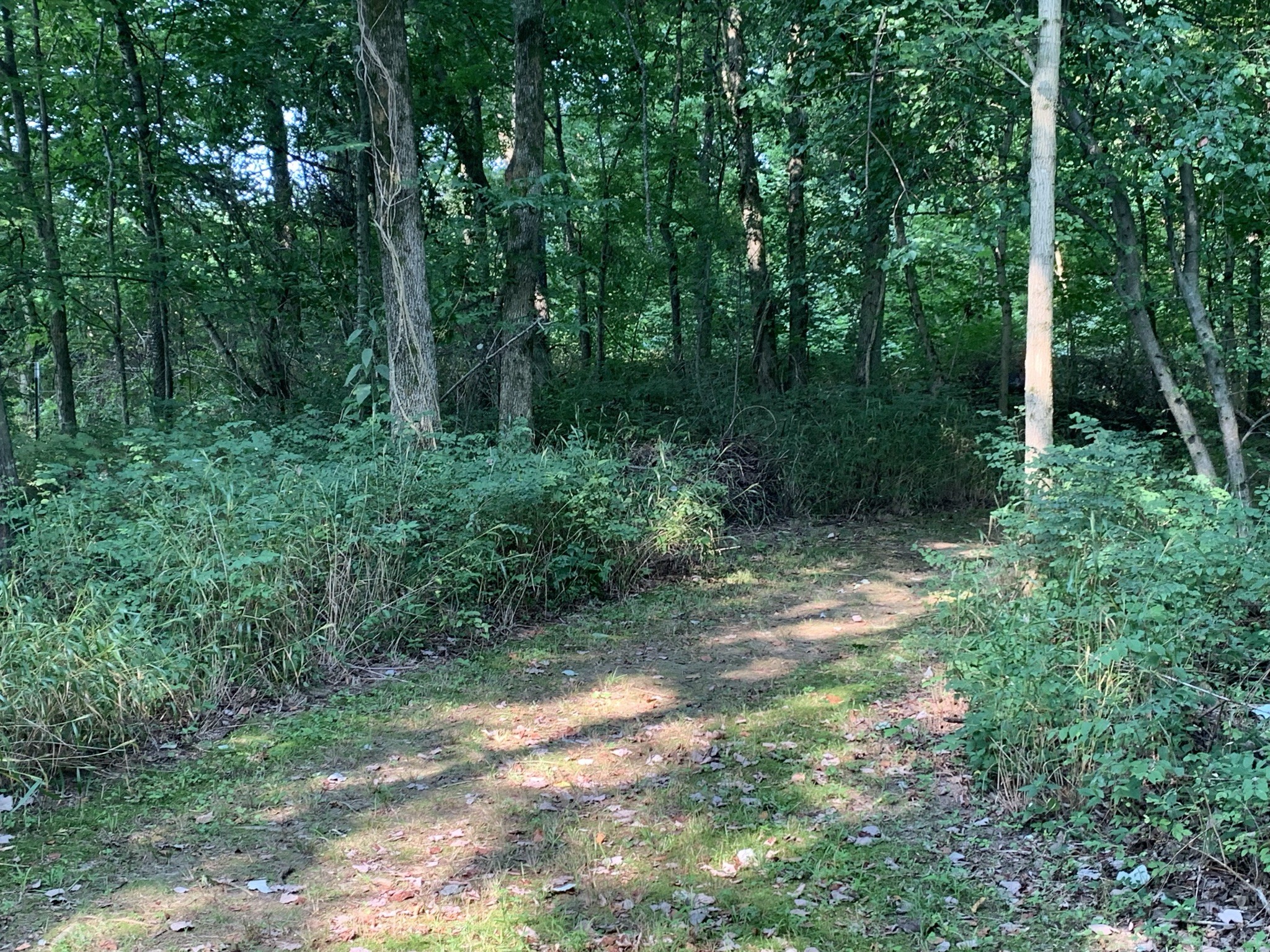 174 T T G T Road Portland, TN 37148 - Photo 10 of 17 a backyard of a house with lots of green space