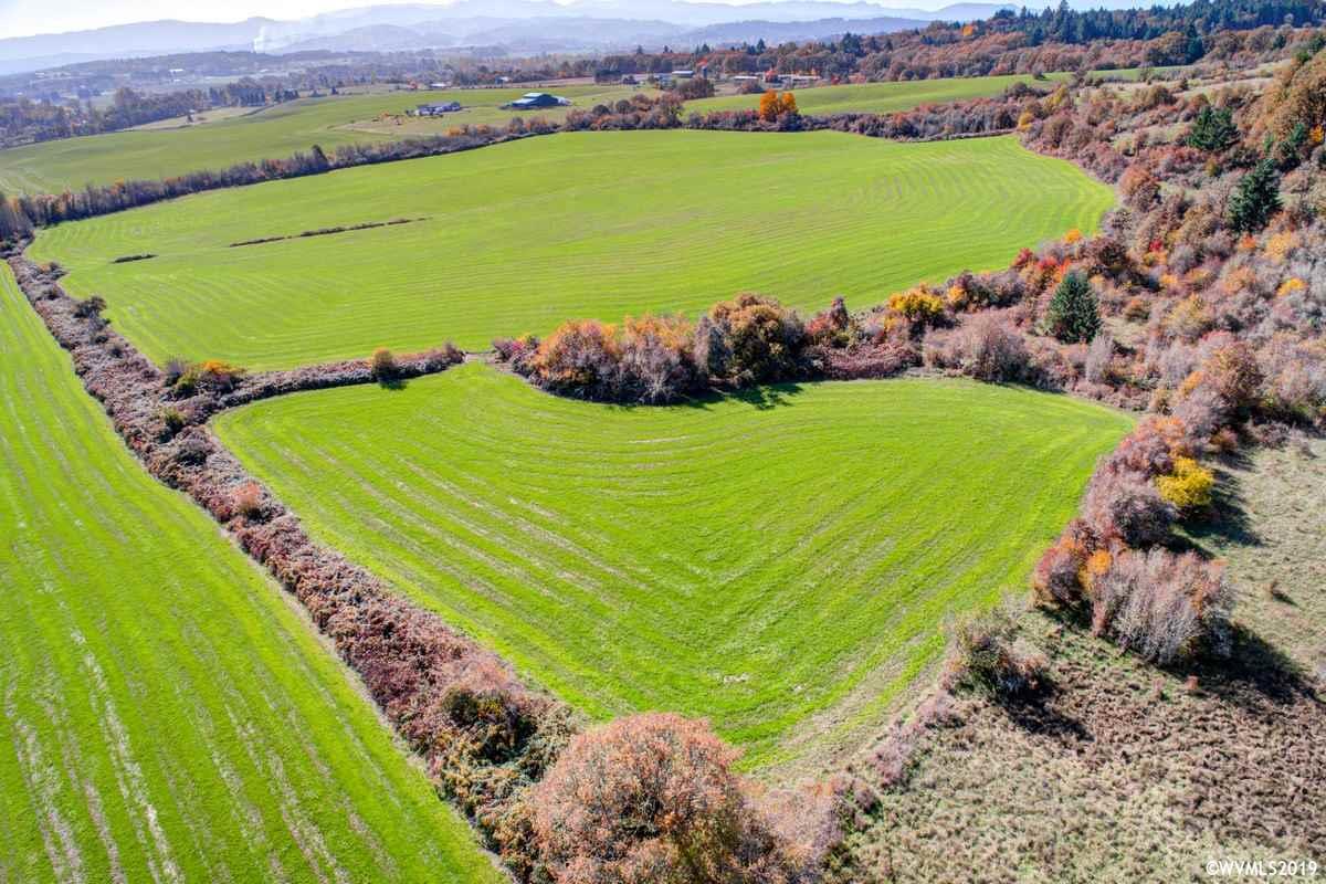 Southwest Pittman (lot 200) Road Sheridan, OR 97378 - Photo 10 of 13