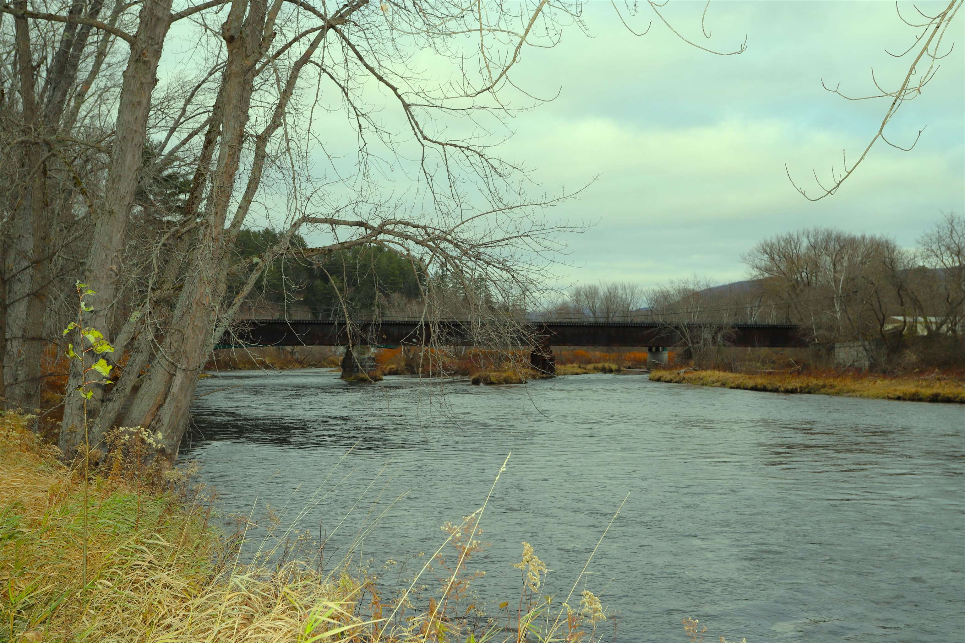 16 River Drive Bloomfield, VT 05905 - Photo 9 of 19