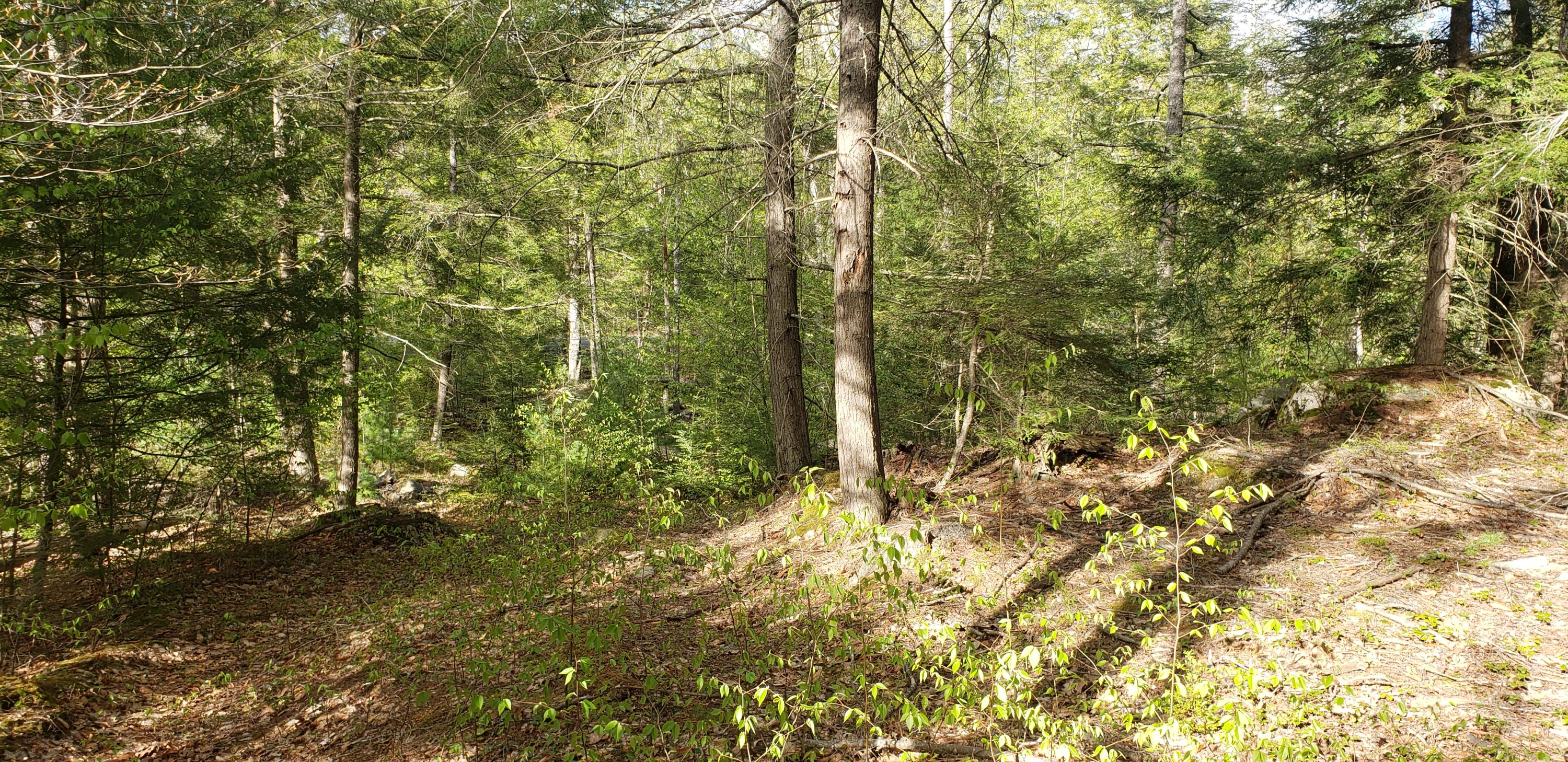 74-5b Mountain Road South Berwick, ME 03908 - Photo 3 of 21 74-5B-4