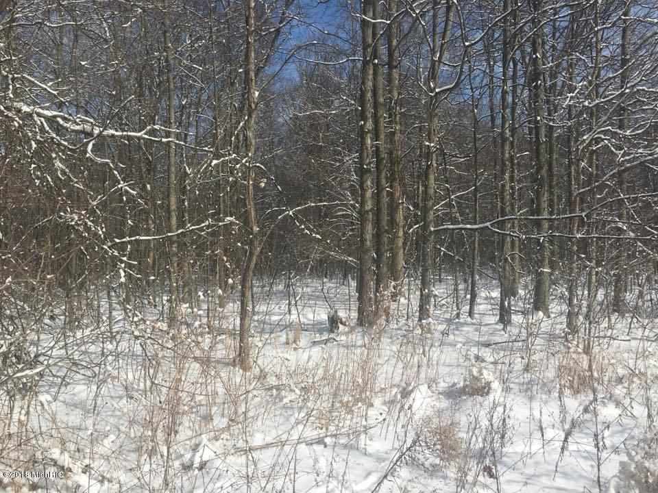 V/l Moore Road Tekonsha, MI 49082 - Photo 6 of 12
