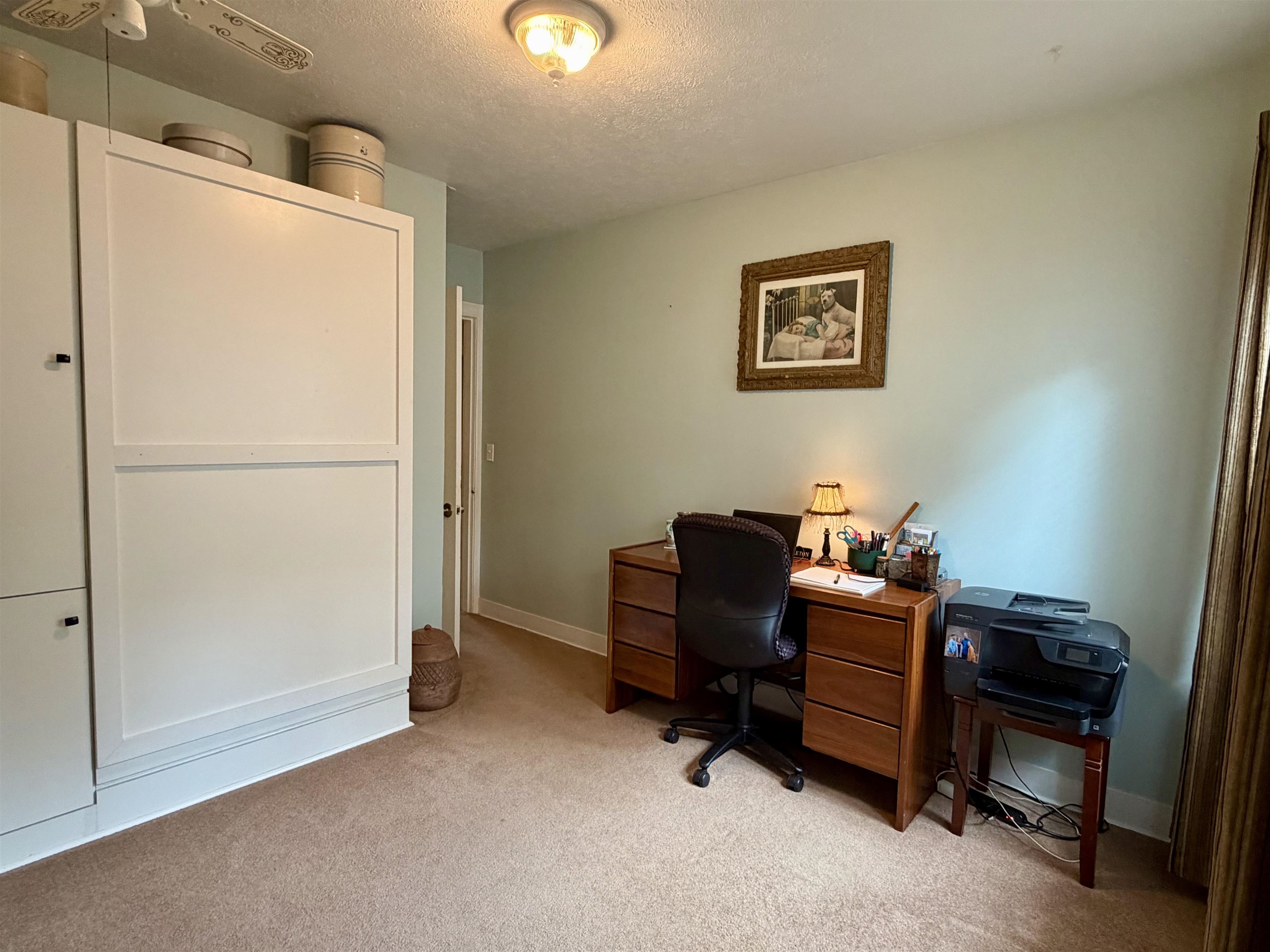 206 Burns Road Ramer, TN 38367 - Photo 23 of 37 Light-colored carpeting featuring a built-in wall unit with paneled doors, ceiling fan, recessed ceiling light fixture, and a light green painted wall