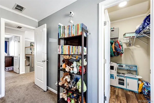 a view of a livingroom with furniture and closet