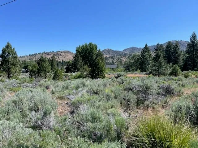 a view of a lush green space with sea