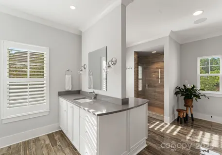 a bathroom with a sink a mirror and a shower