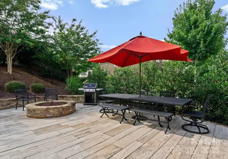 a view of a yard with plants and large trees