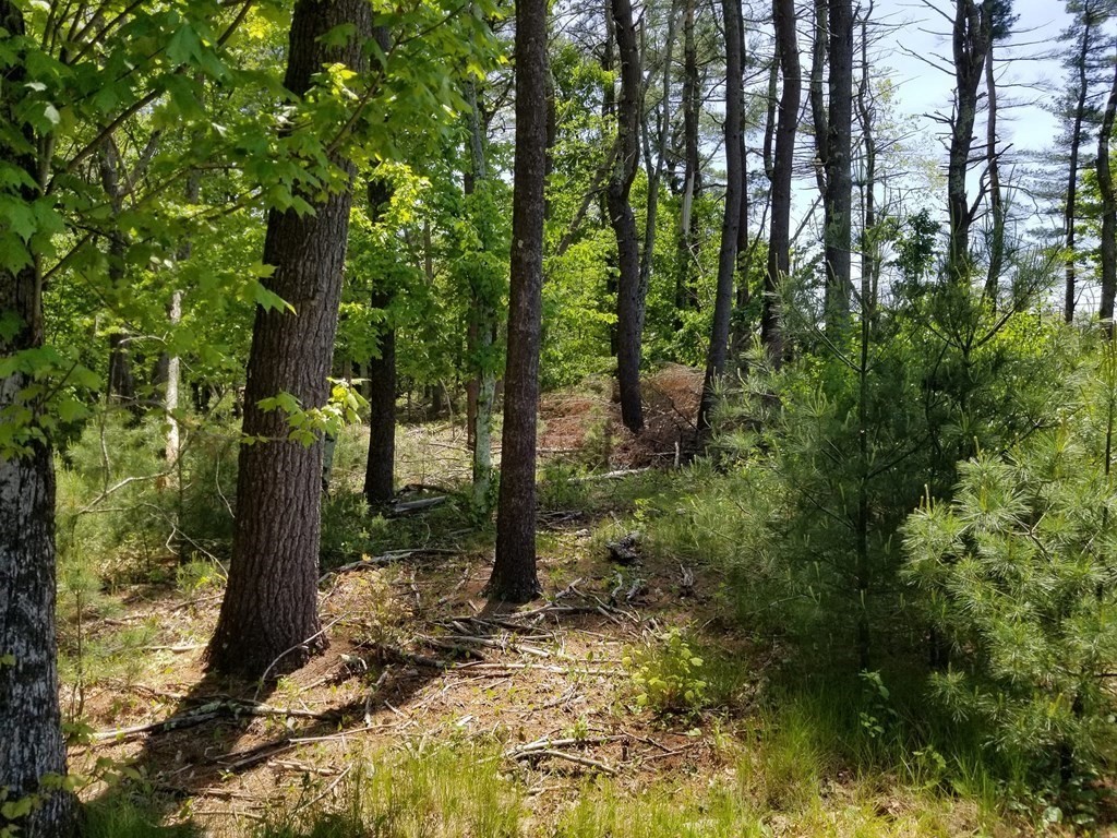 Five 5 Mile River Road Putnam, CT 06260 - Photo 4 of 11