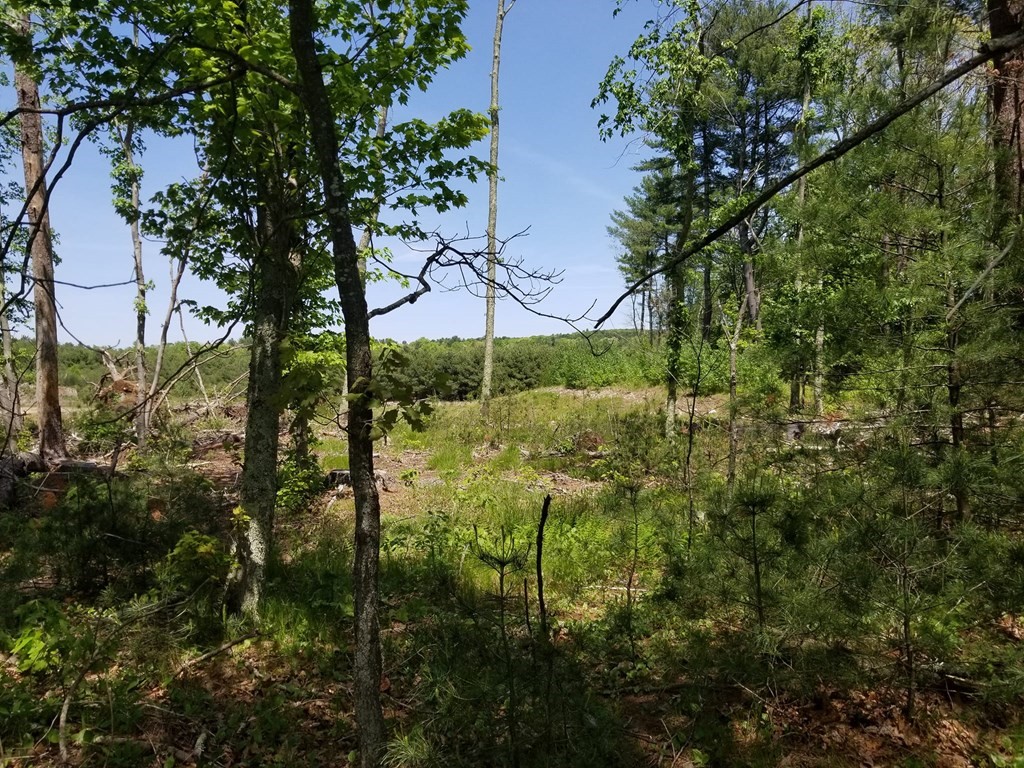Five 5 Mile River Road Putnam, CT 06260 - Photo 5 of 11