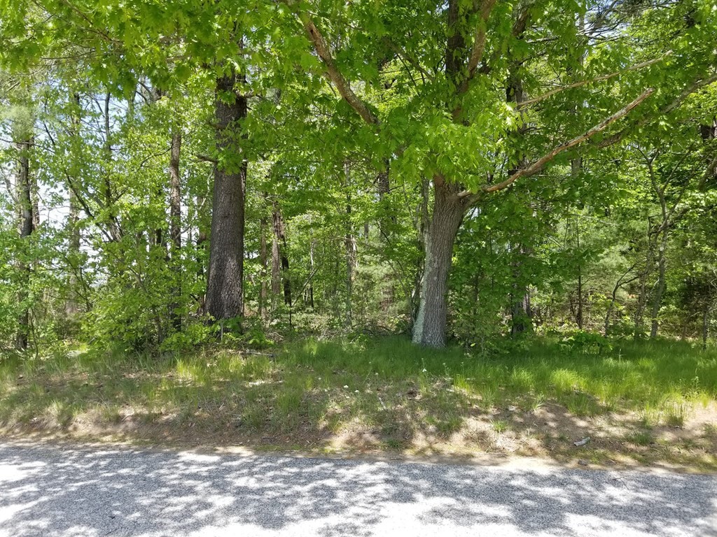 Five 5 Mile River Road Putnam, CT 06260 - Photo 6 of 11